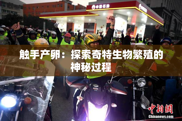 触手产卵：探索奇特生物繁殖的神秘过程