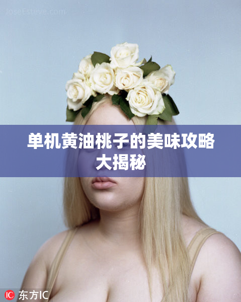 单机黄油桃子的美味攻略大揭秘