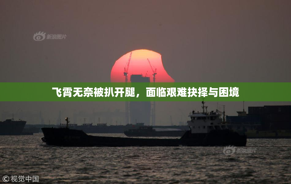 飞霄无奈被扒开腿，面临艰难抉择与困境