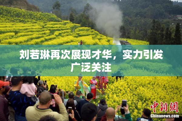 刘若琳再次展现才华，实力引发广泛关注
