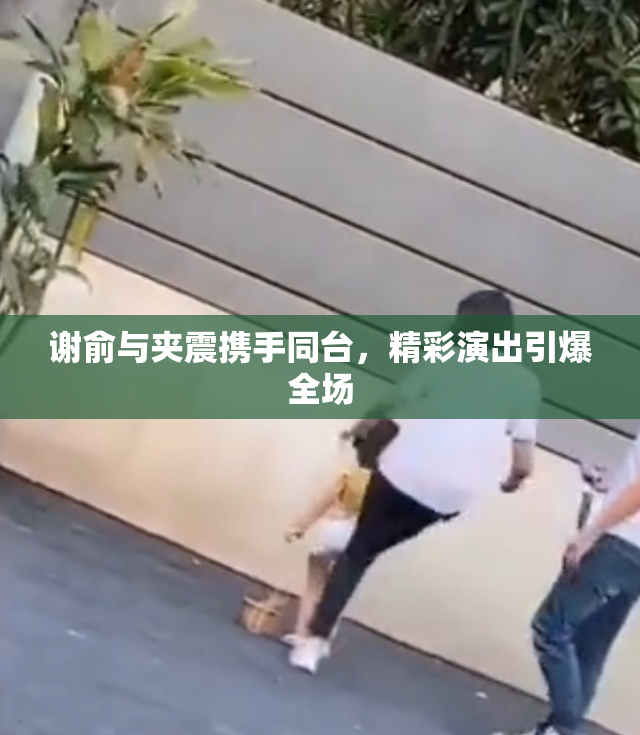 谢俞与夹震携手同台，精彩演出引爆全场