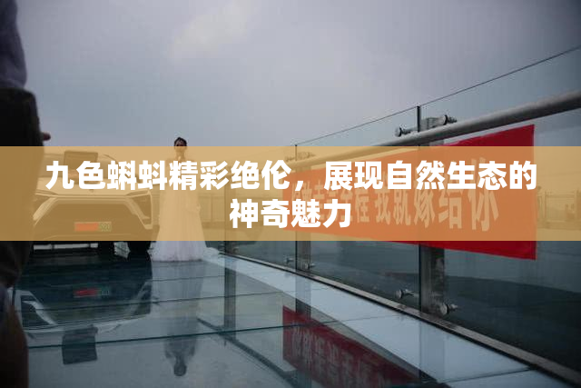 九色蝌蚪精彩绝伦，展现自然生态的神奇魅力