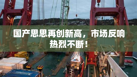 国产思思再创新高，市场反响热烈不断！