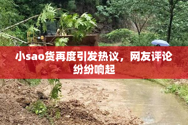 小sao货再度引发热议，网友评论纷纷响起