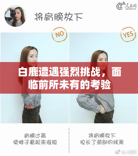 白鹿遭遇强烈挑战，面临前所未有的考验