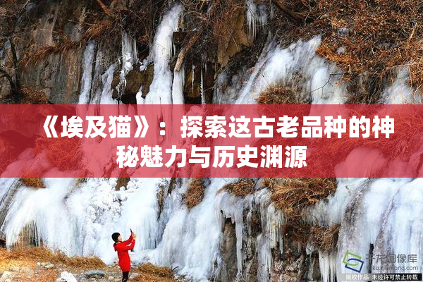 《埃及猫》：探索这古老品种的神秘魅力与历史渊源