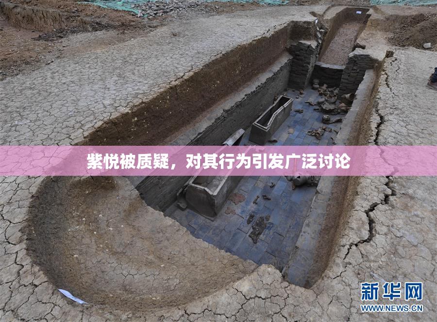 紫悦被质疑，对其行为引发广泛讨论
