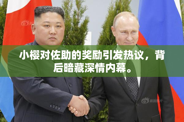 小樱对佐助的奖励引发热议，背后暗藏深情内幕。