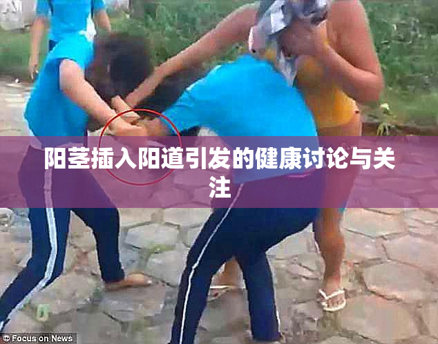 阳茎插入阳道引发的健康讨论与关注