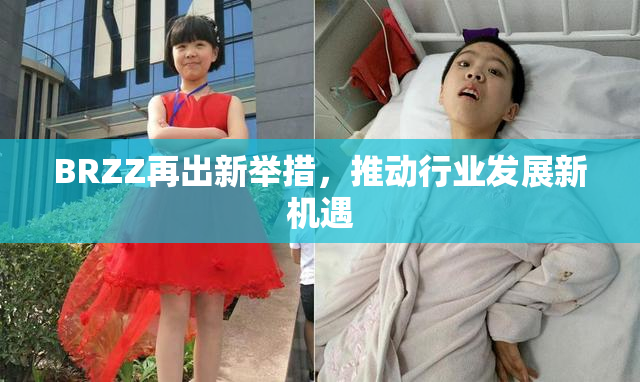 BRZZ再出新举措，推动行业发展新机遇