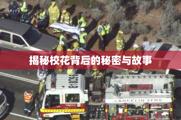 揭秘校花背后的秘密与故事