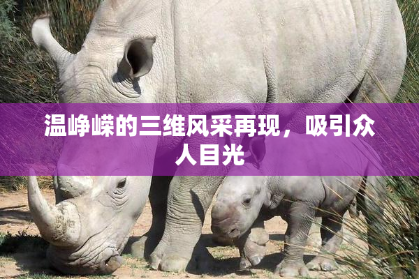 温峥嵘的三维风采再现，吸引众人目光