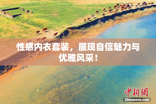 性感内衣套装，展现自信魅力与优雅风采！
