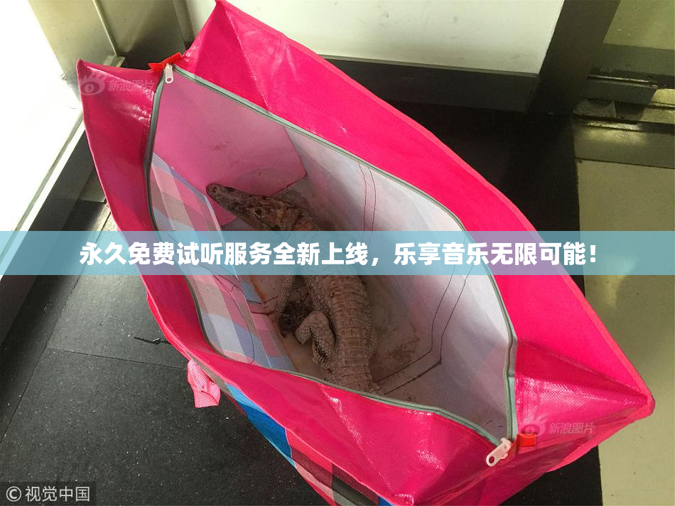 永久免费试听服务全新上线，乐享音乐无限可能！