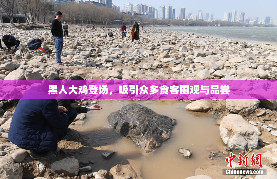 黑人大鸡登场，吸引众多食客围观与品尝