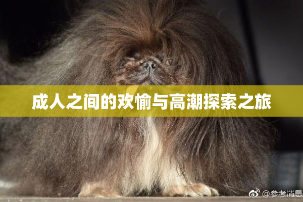 成人之间的欢愉与高潮探索之旅