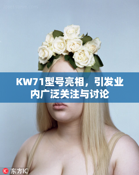 KW71型号亮相，引发业内广泛关注与讨论