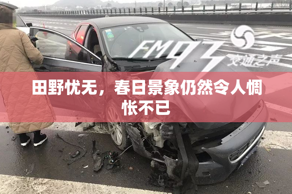 田野忧无，春日景象仍然令人惆怅不已