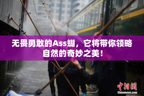 无畏勇敢的Ass蝴，它将带你领略自然的奇妙之美！