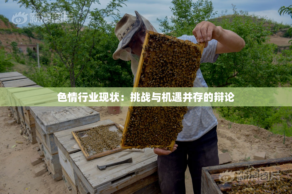 色情行业现状：挑战与机遇并存的辩论