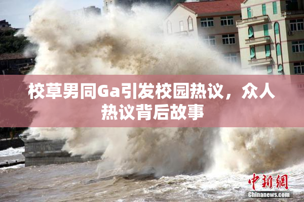 校草男同Ga引发校园热议，众人热议背后故事