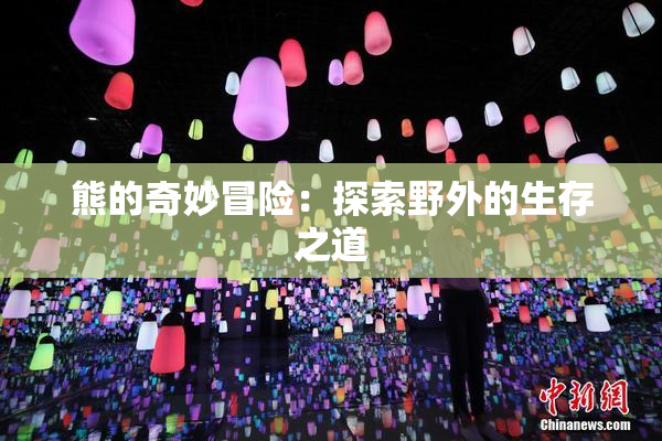 熊的奇妙冒险：探索野外的生存之道