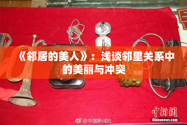 《邻居的美人》：浅谈邻里关系中的美丽与冲突