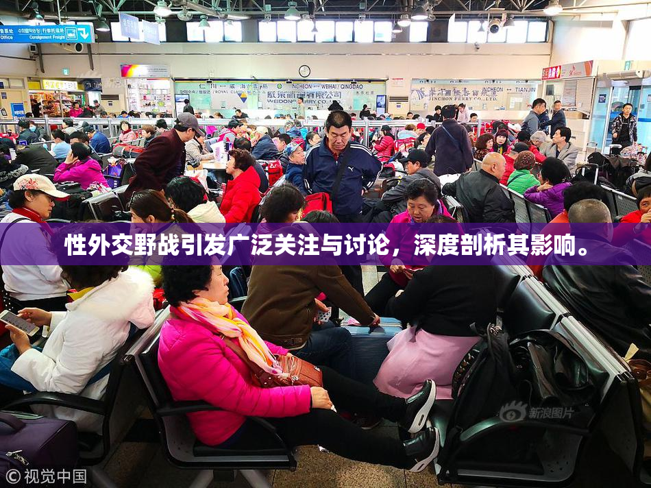 性外交野战引发广泛关注与讨论，深度剖析其影响。