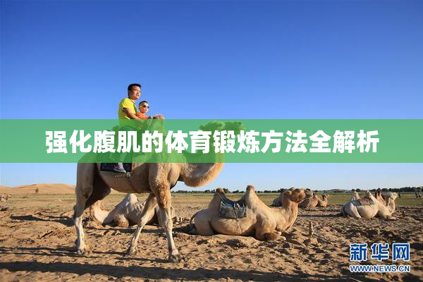 强化腹肌的体育锻炼方法全解析