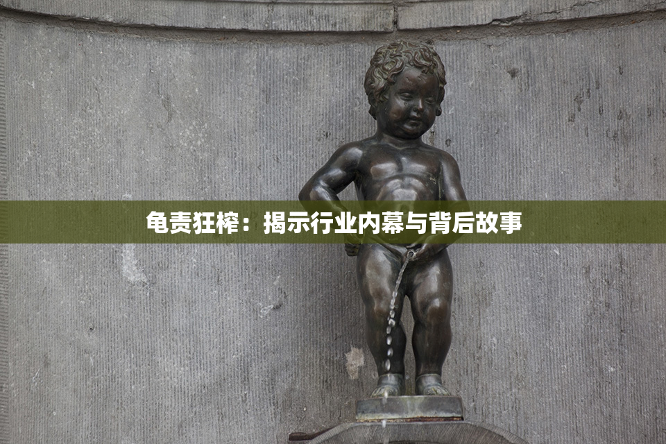龟责狂榨：揭示行业内幕与背后故事