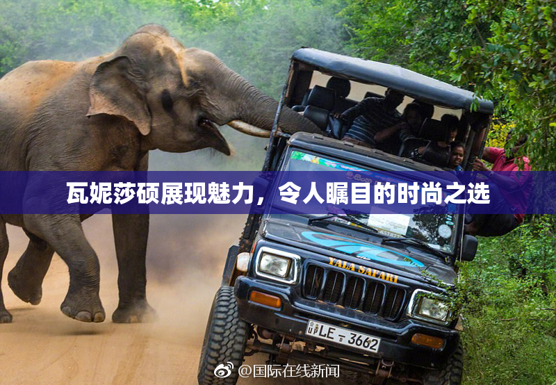 瓦妮莎硕展现魅力，令人瞩目的时尚之选