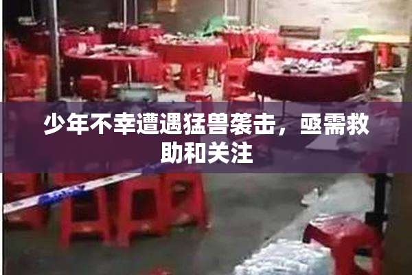 少年不幸遭遇猛兽袭击，亟需救助和关注