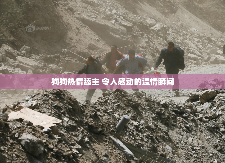 狗狗热情舔主 令人感动的温情瞬间