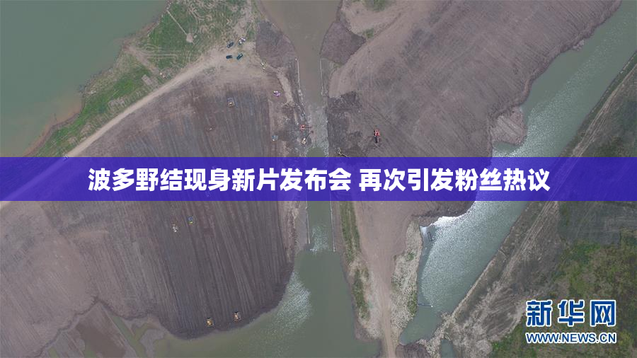 波多野结现身新片发布会 再次引发粉丝热议