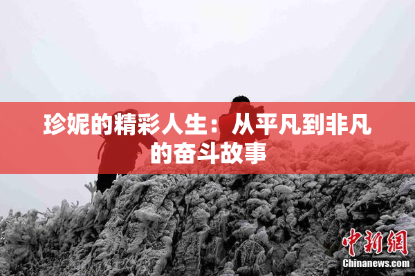 珍妮的精彩人生：从平凡到非凡的奋斗故事