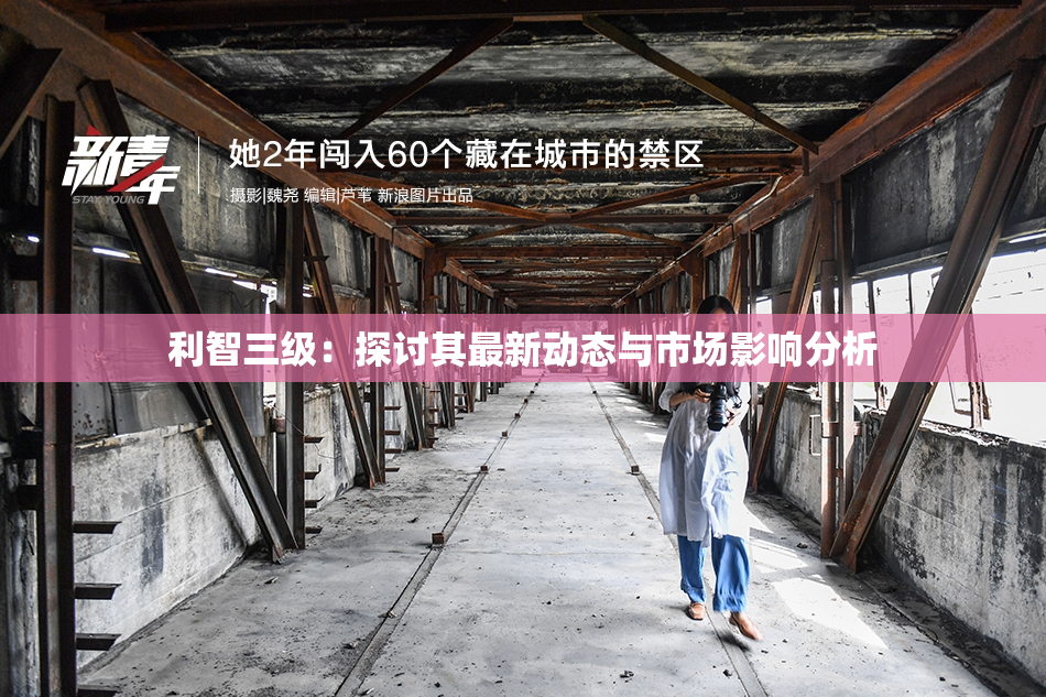 利智三级：探讨其最新动态与市场影响分析