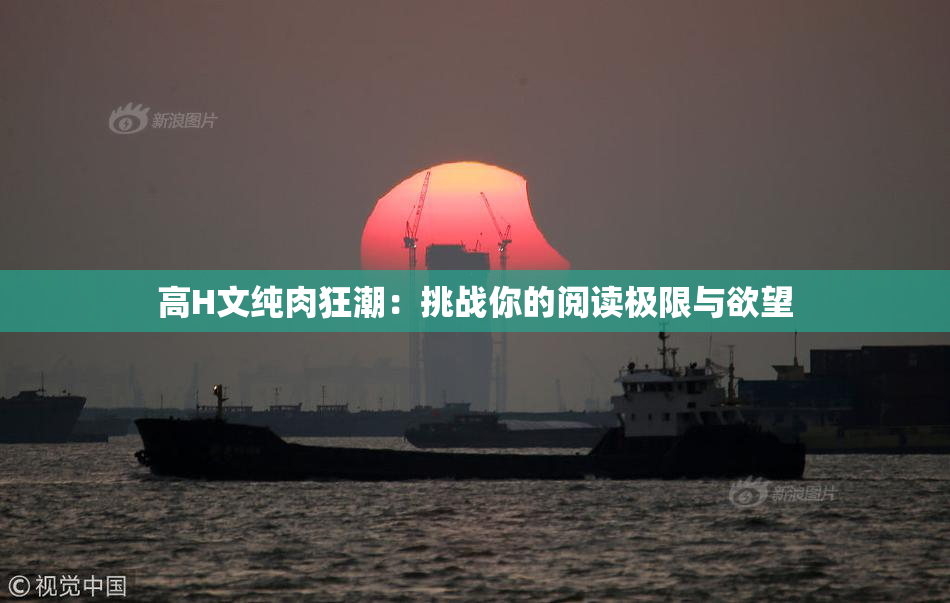 高H文纯肉狂潮：挑战你的阅读极限与欲望