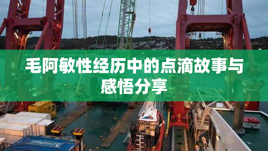 毛阿敏性经历中的点滴故事与感悟分享