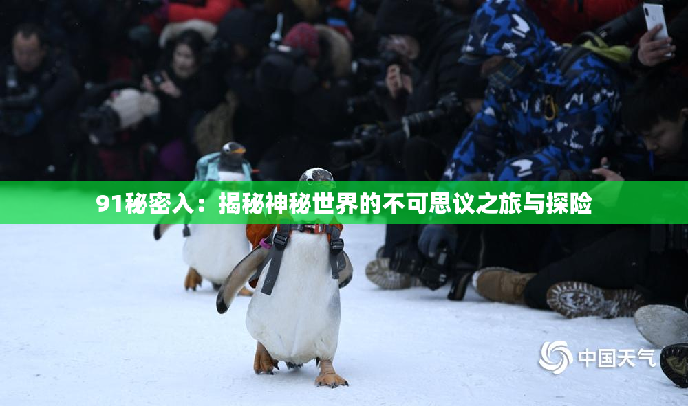 91秘密入：揭秘神秘世界的不可思议之旅与探险