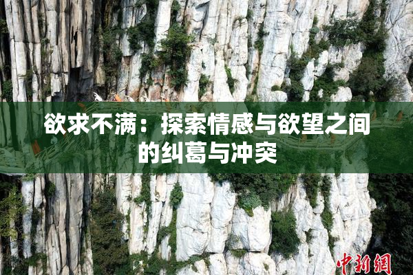 欲求不满：探索情感与欲望之间的纠葛与冲突