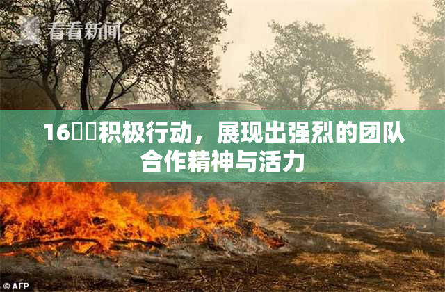 16妺妺积极行动，展现出强烈的团队合作精神与活力