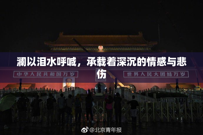 澜以泪水呼喊，承载着深沉的情感与悲伤