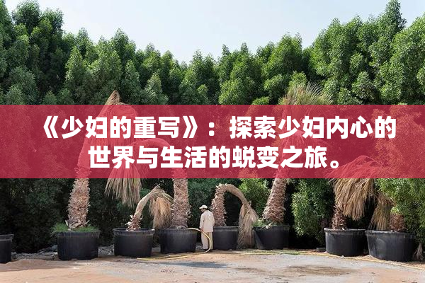 《少妇的重写》：探索少妇内心的世界与生活的蜕变之旅。