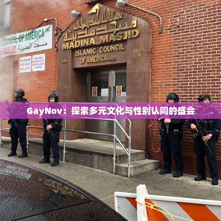 GayNov：探索多元文化与性别认同的盛会