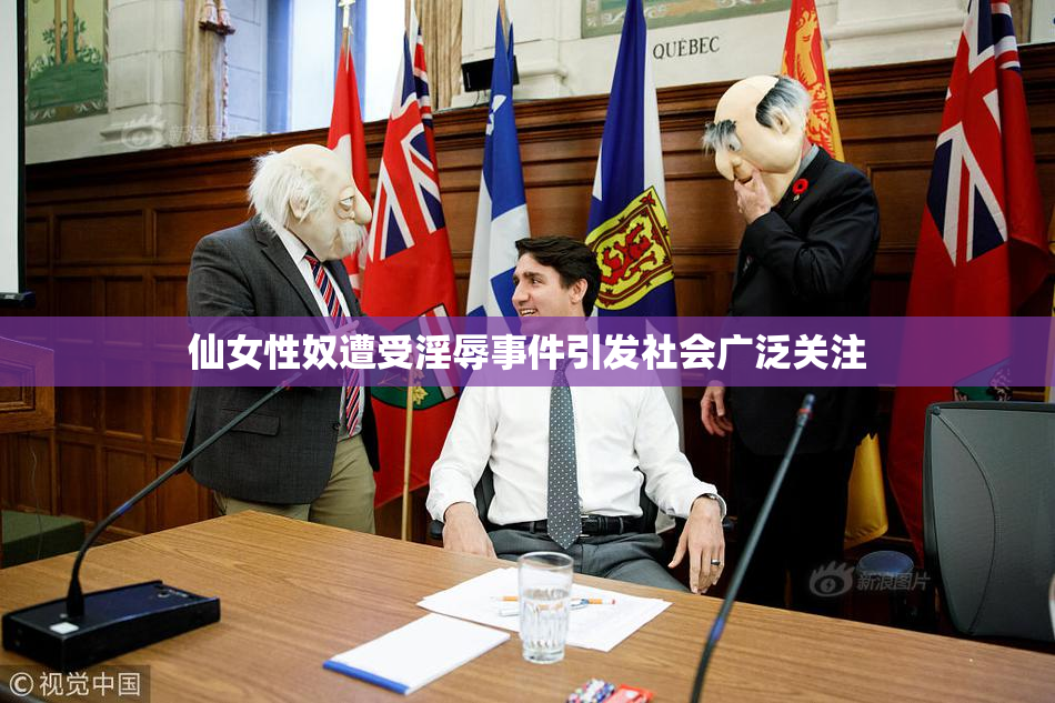 仙女性奴遭受淫辱事件引发社会广泛关注