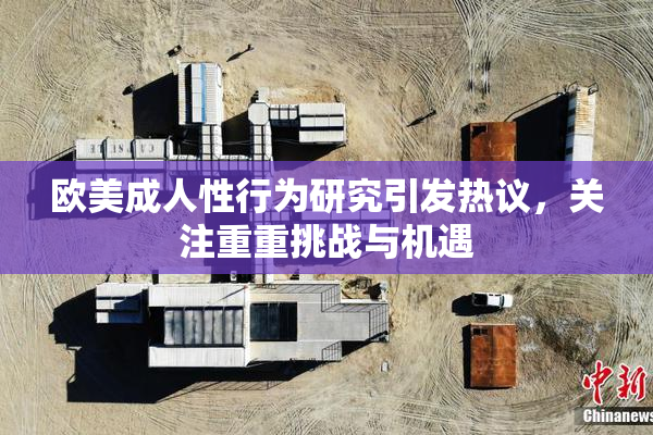 欧美成人性行为研究引发热议，关注重重挑战与机遇