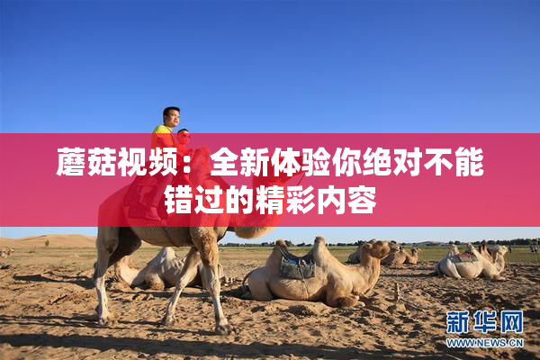 蘑菇视频：全新体验你绝对不能错过的精彩内容