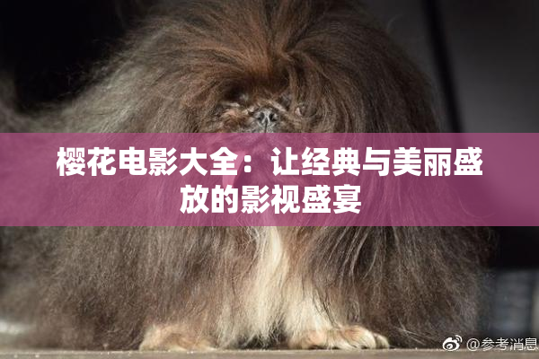 樱花电影大全：让经典与美丽盛放的影视盛宴