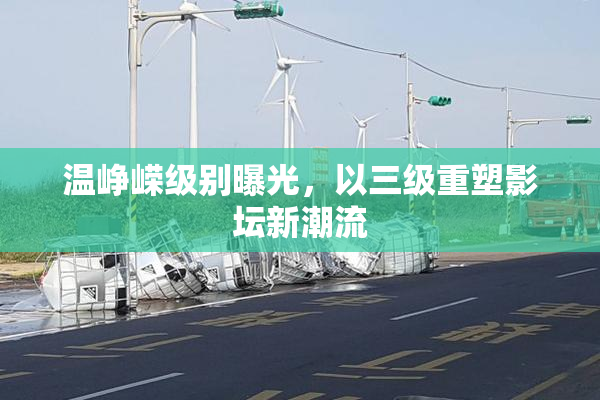 温峥嵘级别曝光，以三级重塑影坛新潮流