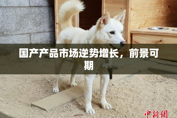 国产产品市场逆势增长，前景可期